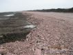 phoca_thumb_l_BIG_IMG_12997742061042.jpg